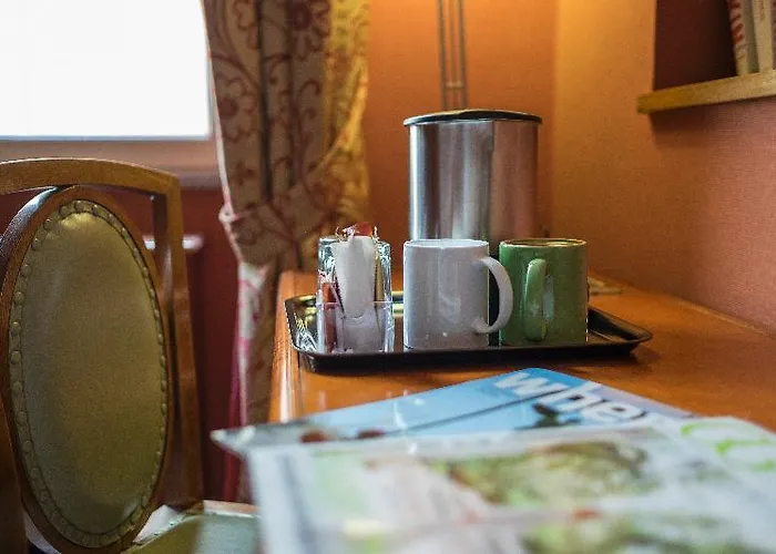 Hotel Rex 4*